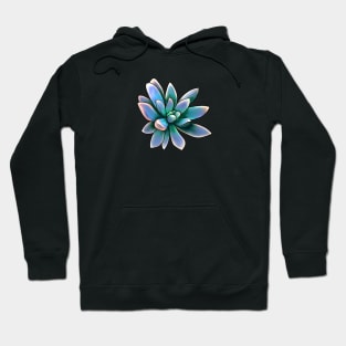 Green Succulent Hoodie